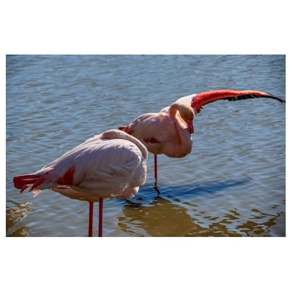 PHOTO84, CLUB, 84 , LUBERON